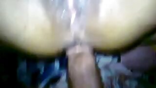 ಕಾಮೋತ್ತೇಜಕ ಬ್ರೌನ್‌ಹೆ ...